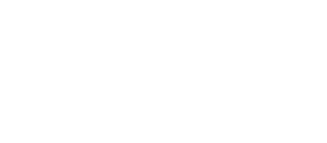 Connect Earth